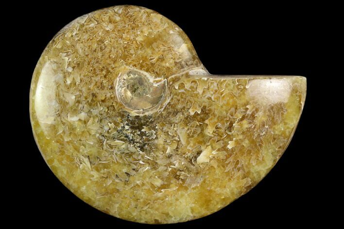 Polished, Agatized Ammonite (Cleoniceras) - Madagascar #119217